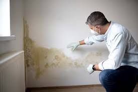 Mold Remediation for Vacation Homes in Trevorton, PA